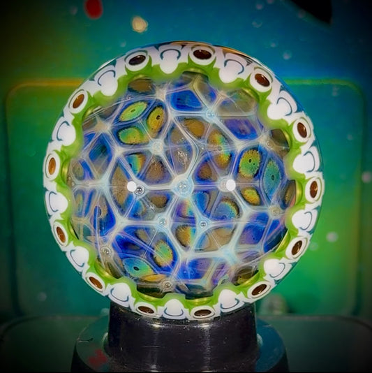 WEBER x ANTON x N8 - 44.7mm UV Conundrum