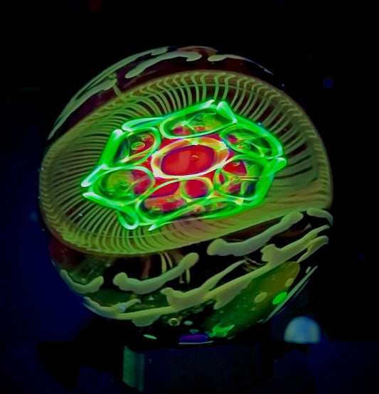 WEBER x ANTON x BLACKFIRE x N8 - 43mm