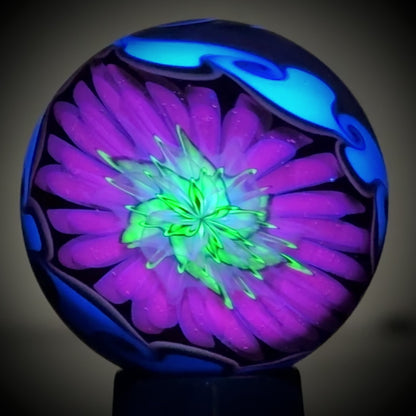 Josh Sable x N8 Retti UV Marble - 47mm